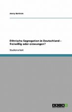 Ethnische Segregation in Deutschland - freiwillig oder erzwungen?