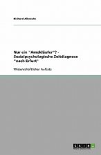 Nur ein Amoklaufer? - Sozialpsychologische Zeitdiagnose nach Erfurt