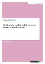 Die türkische Landwirtschaft zwischen Subsistenz und Weltmarkt