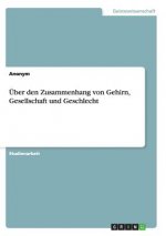 Über den Zusammenhang von Gehirn, Gesellschaft und Geschlecht