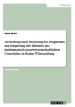 Zielsetzung und Umsetzung des Programms zur Steigerung der Effizienz des mathematisch-naturwissenschaftlichen Unterrichts in Baden-Wurttemberg