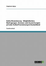 Kulturfinanzierung - Moeglichkeiten, Bedingungen, Grenzen und Auswirkungen privater Kulturfinanzierung in Deutschland
