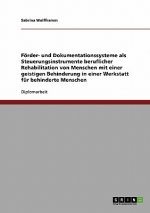 Foerder- und Dokumentationssysteme als Steuerungsinstrumente beruflicher Rehabilitation von Menschen mit einer geistigen Behinderung in einer Werkstat