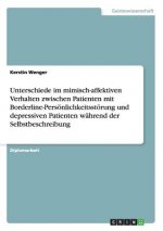 Unterschiede im mimisch-affektiven Verhalten zwischen Patienten mit Borderline-Persoenlichkeitsstoerung und depressiven Patienten wahrend der Selbstbe