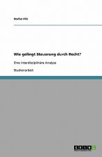 Wie gelingt Steuerung durch Recht?