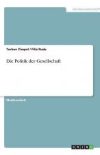 Politik Der Gesellschaft