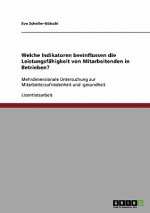Indikatoren, die die Leistungsfähigkeit von Mitarbeitenden in Betrieben beeinflussen