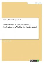 Mindestloehne in Frankreich und Grossbritannien. Vorbild fur Deutschland?