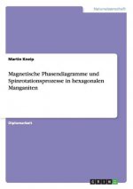 Magnetische Phasendiagramme und Spinrotationsprozesse in hexagonalen Manganiten