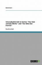 Intersubjektivitat in Sartres Das Sein und das Nichts und Der Idiot der Familie