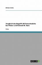Vergleich des Begriffs Willensschwäche bei Platon und Richard M. Hare