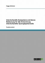 Interkulturelle Kompetenz und deren Bedeutung fur die Entwicklung interkultureller Synergiepotenziale
