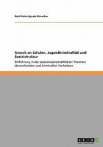 Gewalt an Schulen, Jugendkriminalitat und Sozialstruktur