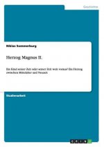 Herzog Magnus II.