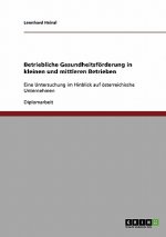 Betriebliche Gesundheitsfoerderung in kleinen und mittleren Betrieben in OEsterreich