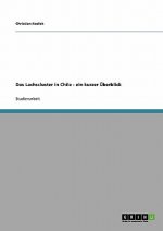 Das Lachscluster in Chile - ein kurzer Überblick