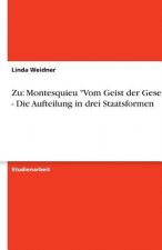 Zu: Montesquieu 