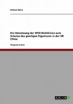 Umsetzung der WTO-Richtlinien zum Schutze des geistigen Eigentums in der VR China