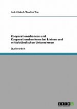 Kooperationschancen und Kooperationsbarrieren bei kleinen und mittelstandischen Unternehmen