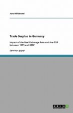 Trade Surplus in Germany