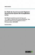 Zur Rolle des Ausschusses der Regionen im politischen System der Europaischen Union
