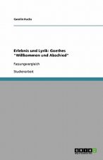 Erlebnis und Lyrik: Goethes 