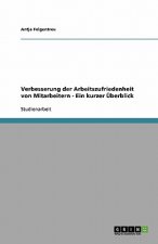 Verbesserung der Arbeitszufriedenheit von Mitarbeitern - Ein kurzer UEberblick