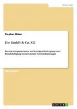 Die GmbH & Co. KG