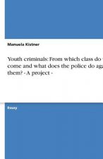 Youth criminals: From which class do they come and what does the police do against them? - A project -
