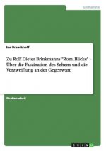 Zu Rolf Dieter Brinkmanns Rom, Blicke - UEber die Faszination des Sehens und die Verzweiflung an der Gegenwart
