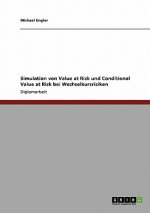 Simulation von Value at Risk und Conditional Value at Risk bei Wechselkursrisiken