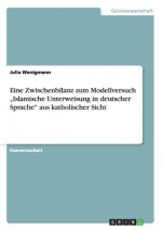 Eine Zwischenbilanz zum Modellversuch 