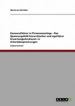 Konsensfiktion in Firmenmeetings - Das Spannungsfeld hierarchischer und egalitarer Erwartungsstrukturen in Arbeitsbesprechungen