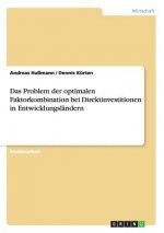 Problem der optimalen Faktorkombination bei Direktinvestitionen in Entwicklungslandern