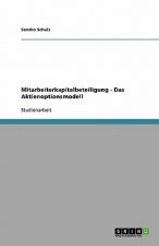 Mitarbeiterkapitalbeteiligung - Das Aktienoptionsmodell