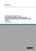 Im Fokus von 
