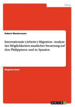 Internationale (Arbeits-) Migration - Analyse der Moeglichkeiten staatlicher Steuerung auf den Philippinen und in Spanien