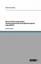 Neues Steuerungsmodell - Sozialraumorientierte Budgetierung der Jugendhilfe