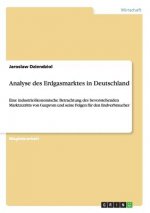 Analyse des Erdgasmarktes in Deutschland