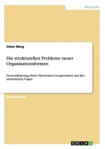 Die strukturellen Probleme neuer Organisationsformen