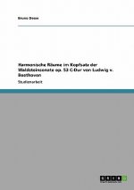 Harmonische Räume im Kopfsatz der Waldsteinsonate op. 53 C-Dur von Ludwig v. Beethoven