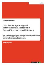 Leiharbeit im Spannungsfeld unterschiedlicher Interessen in Baden-Wurttemberg und Thuringen