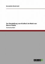 Zur Darstellung von Kindheit im Werk von Benno Pludra