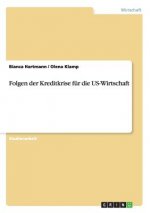 Folgen der Kreditkrise fur die US-Wirtschaft