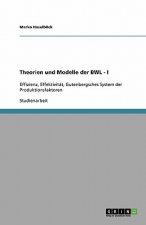 Theorien Und Modelle Der Bwl - I