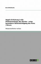 Hegels Einleitung in die Phanomenologie des Geistes - unter besonderer Berucksichtigung des Fures / Furuns