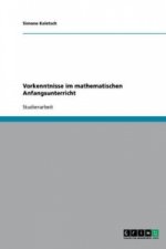 Vorkenntnisse im mathematischen Anfangsunterricht