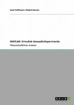 MATLAB / Simulink Unwucht-Experimente