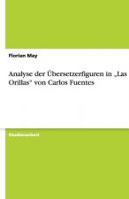 Analyse der Übersetzerfiguren in  