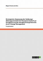 Strategische Anpassung der Salzburger Aktiengesellschaft fur Energiewirtschaft zur Deregulierung der Energieversorgerbranche durch Change Management